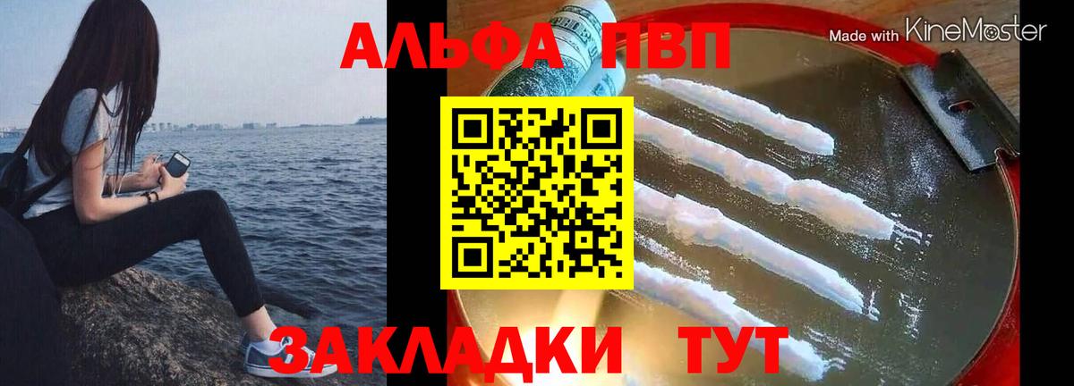 A PVP СК КРИС Котельники