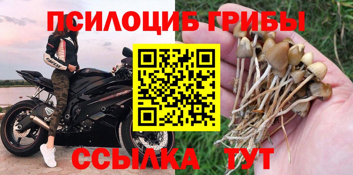 наркошоп  Псилоцибиновые грибы прущие грибы  Галлюциногенные грибы Magic Shrooms  Вход с VPN  Котельники 